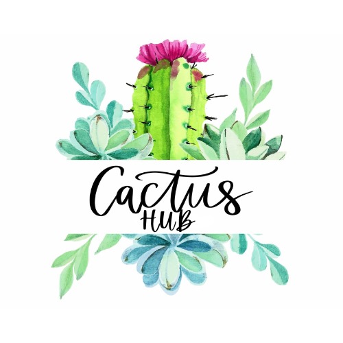 Cactus Hub